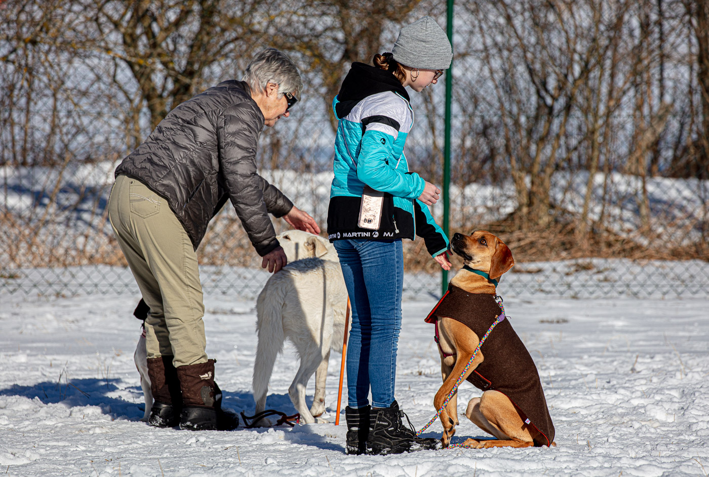 Hundeschule-Winter-08-02-2020 (11 von 69)