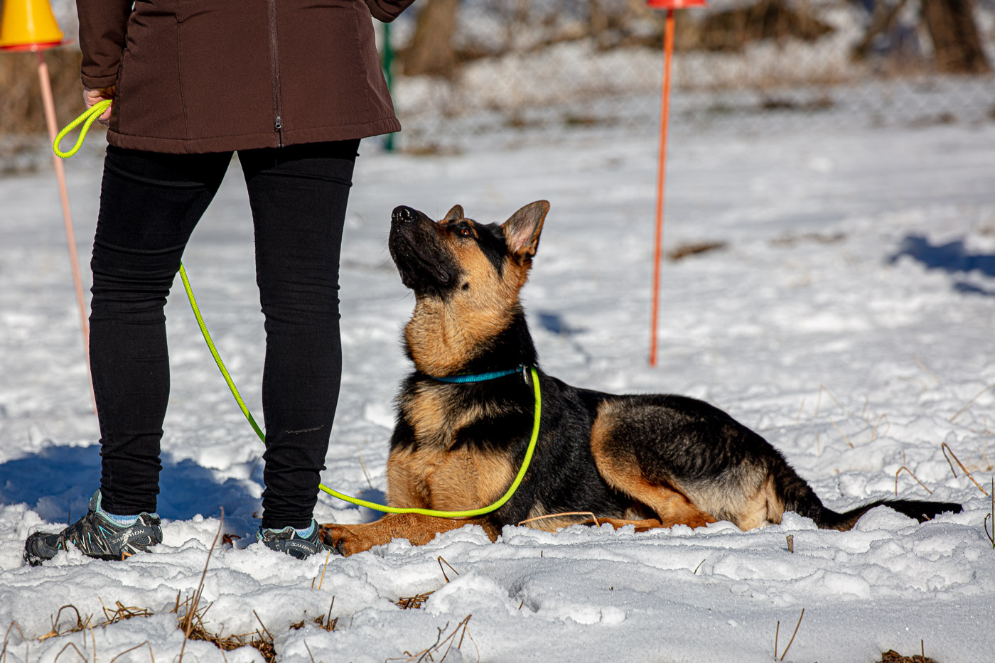 Hundeschule-Winter-08-02-2020 (12 von 69)