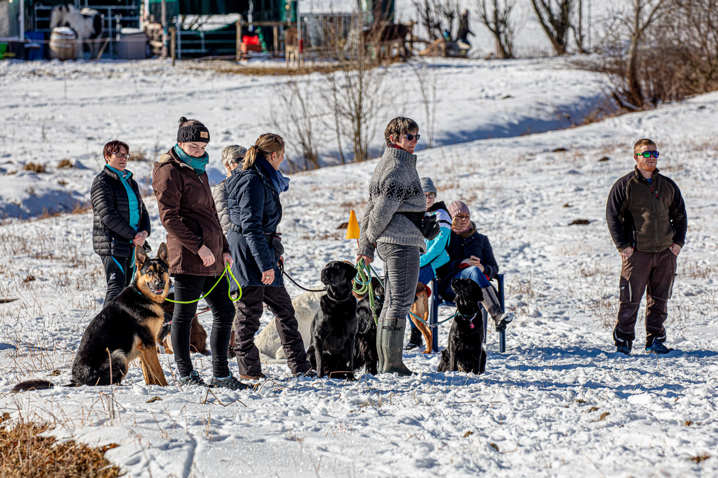 Hundeschule-Winter-08-02-2020 (20 von 69)