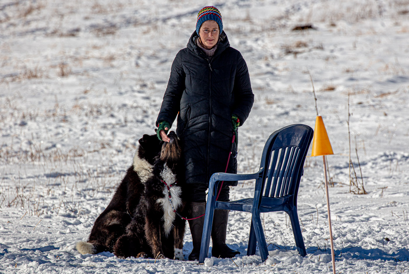 Hundeschule-Winter-08-02-2020 (22 von 69)