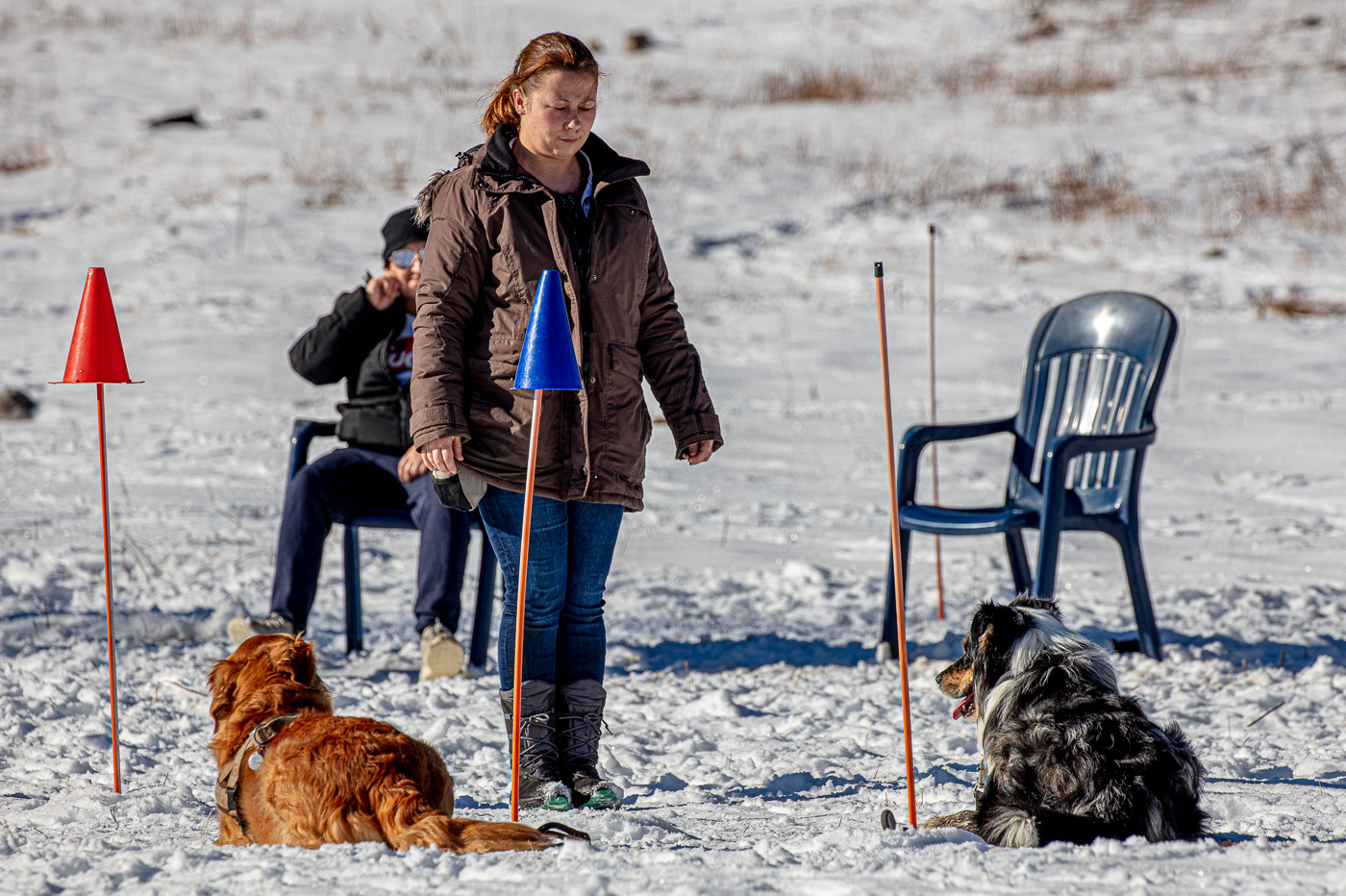 Hundeschule-Winter-08-02-2020 (23 von 69)