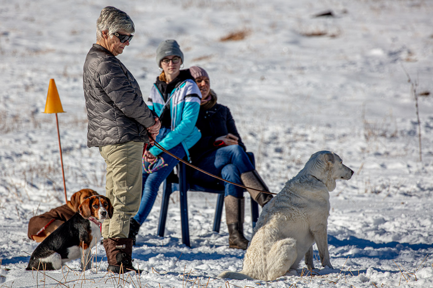 Hundeschule-Winter-08-02-2020 (28 von 69)