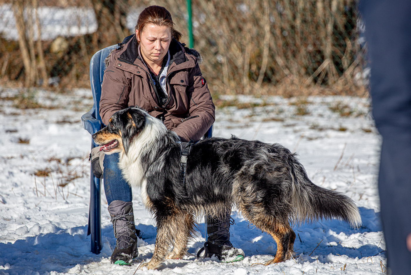 Hundeschule-Winter-08-02-2020 (33 von 69)