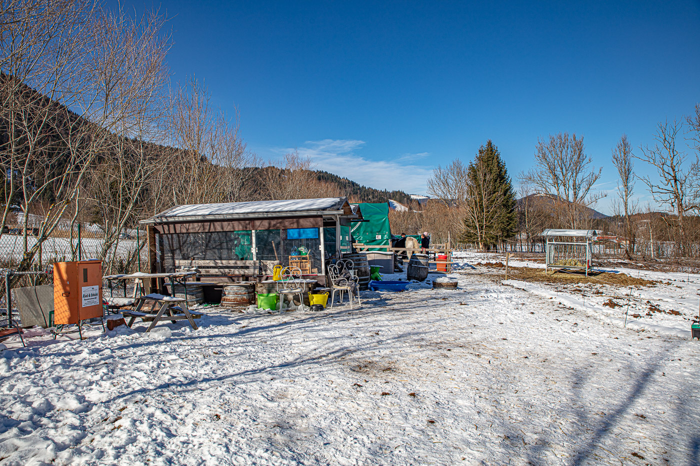 Hundeschule-Winter-08-02-2020 (48 von 69)