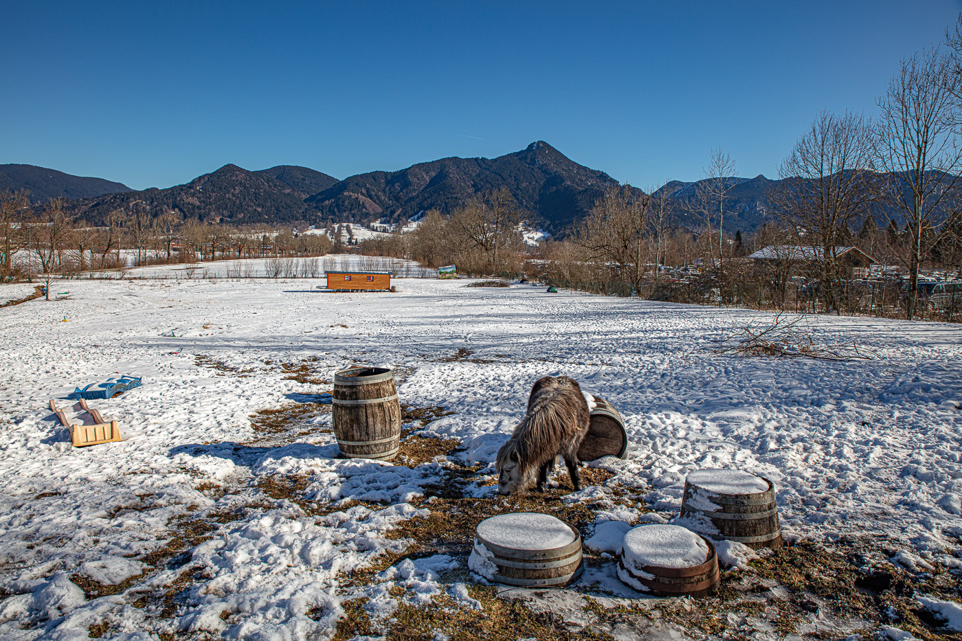 Hundeschule-Winter-08-02-2020 (50 von 69)