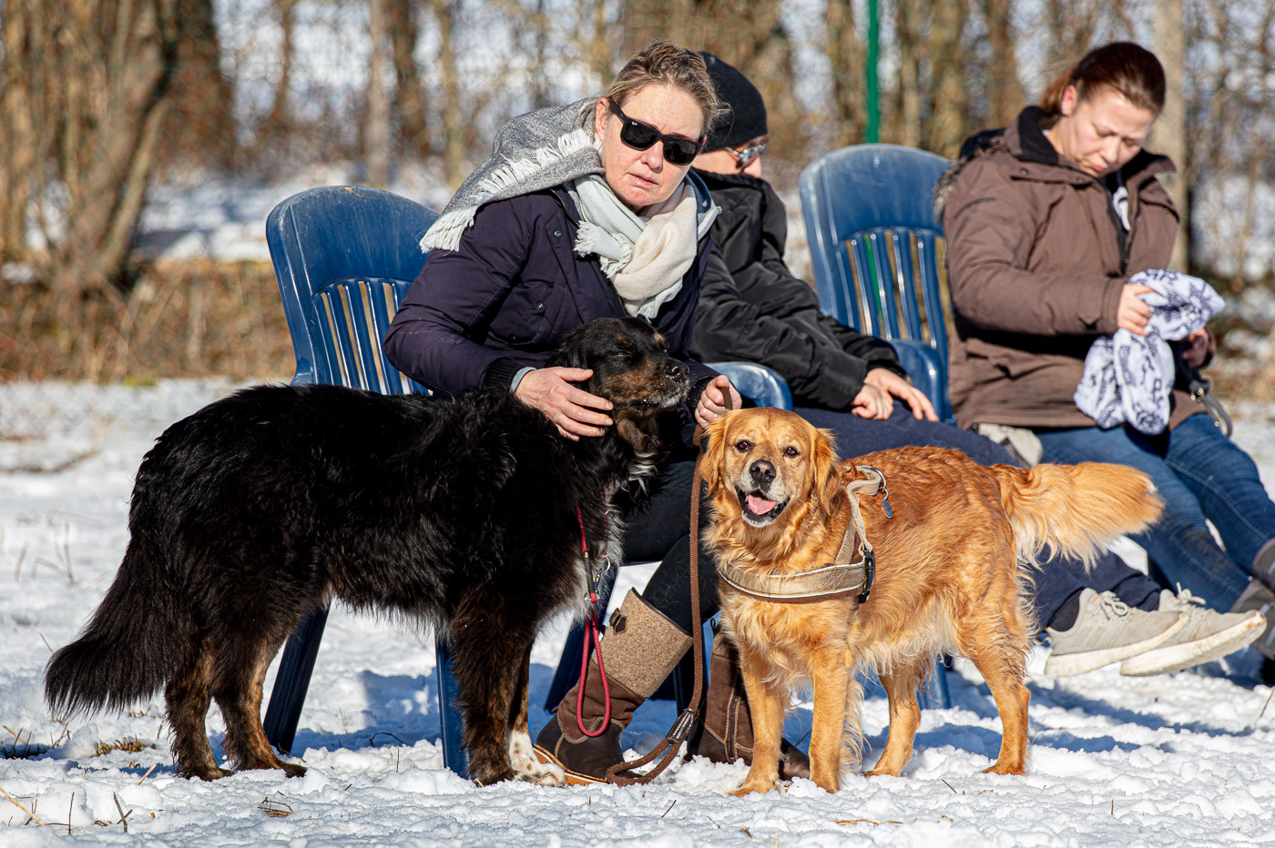 Hundeschule-Winter-08-02-2020 (9 von 69)